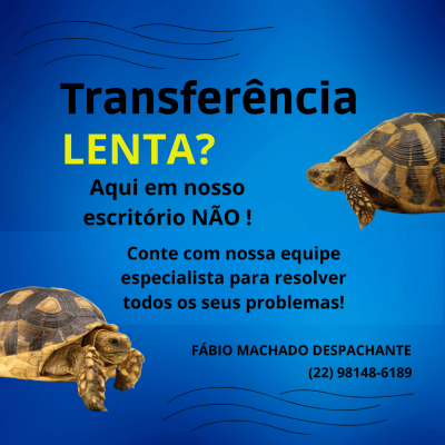 Despachante Fábio Machado foto 3